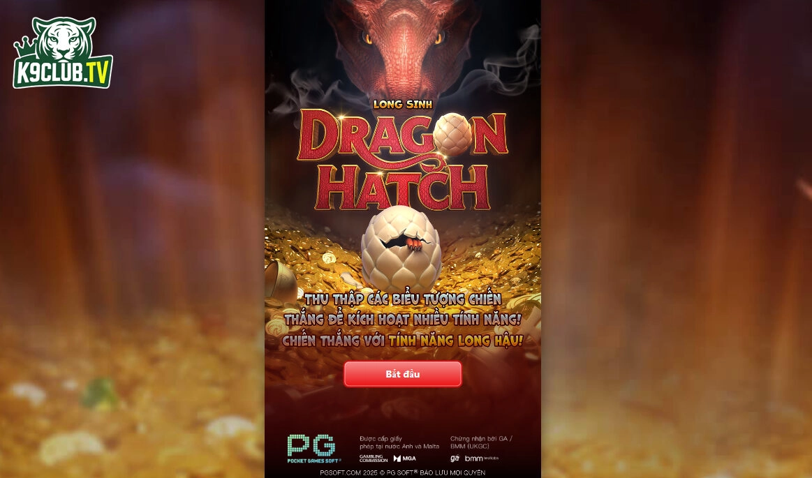 Slot dragon hactch