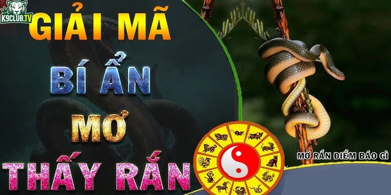 Giải mã giấc mơ thấy rắn cùng k9club